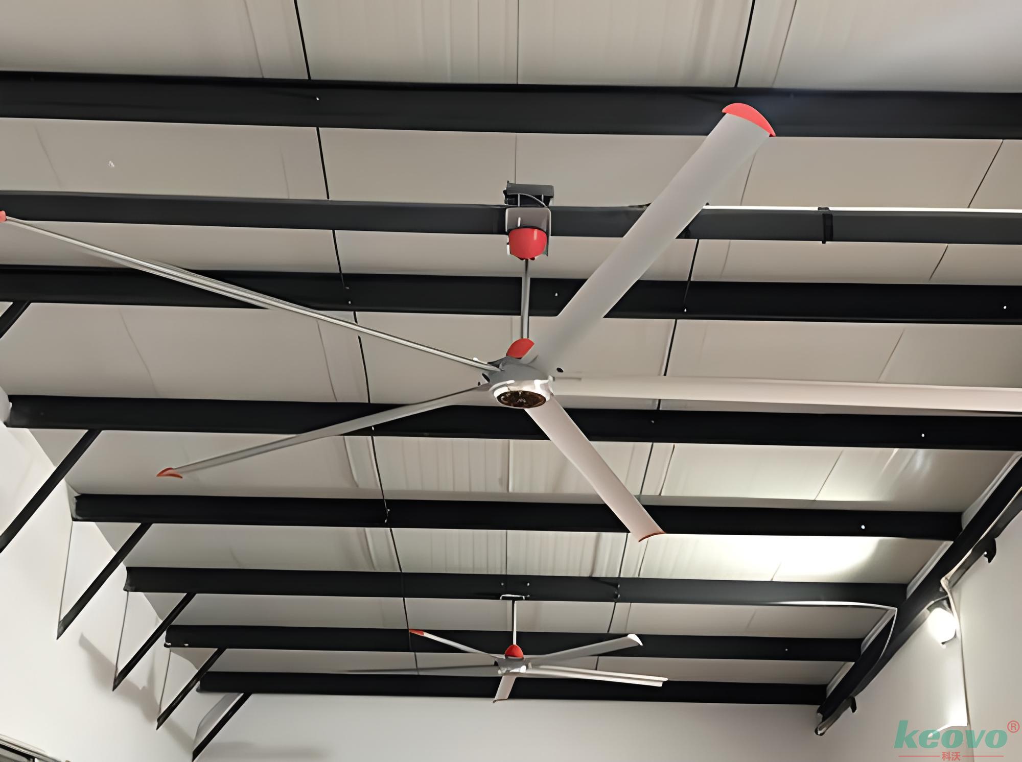 1711675809522353.jpg 565232b6-4e01-42bd-9371-1dc64fc22cb8.jpg