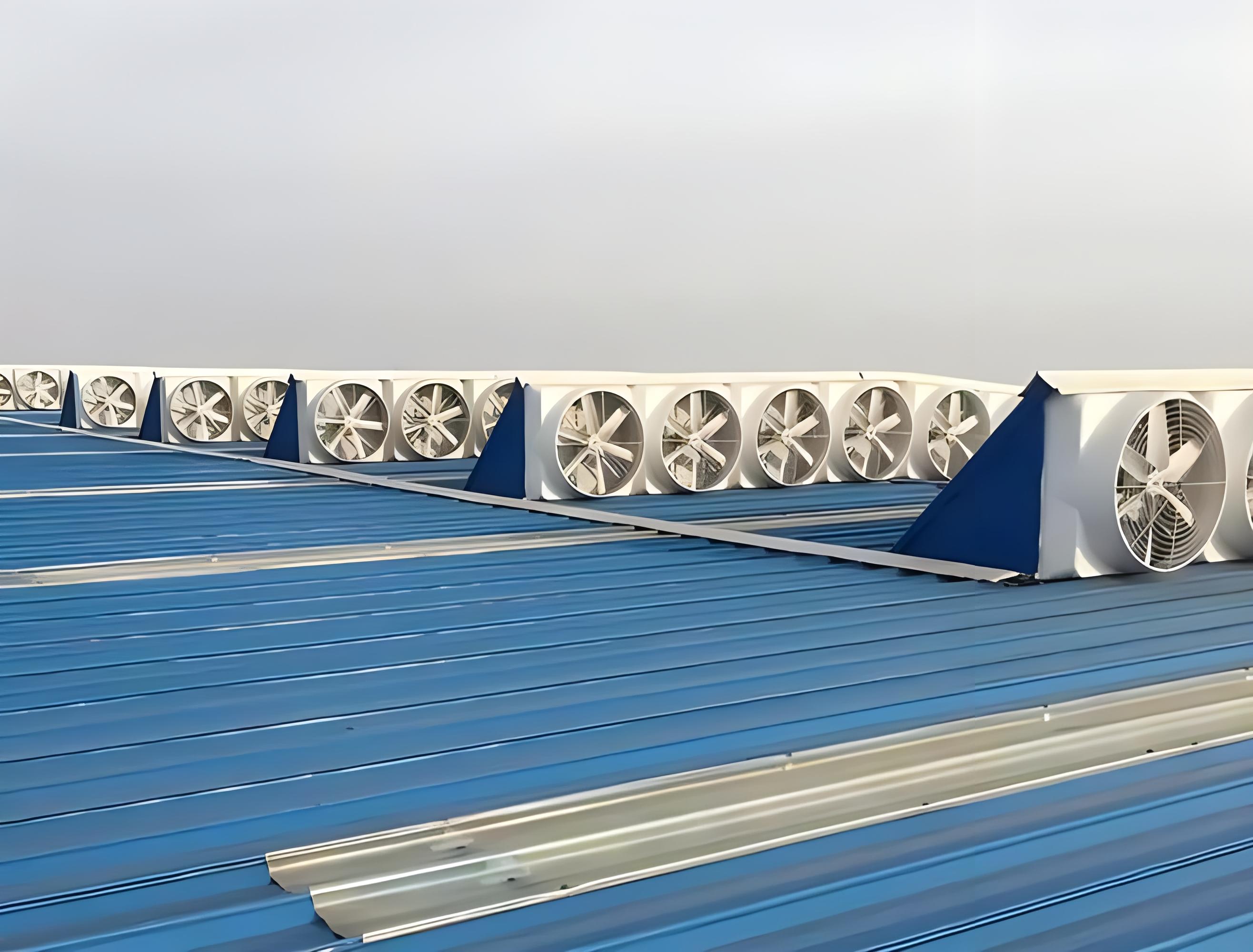 1733882861362449.jpg 8d24138c-a3a3-4029-8680-98f84652c12a.jpg